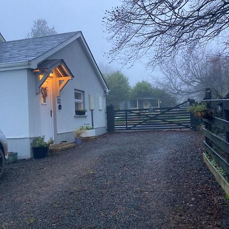 Beech Tree Cottage Glenwherry Kültér fotó