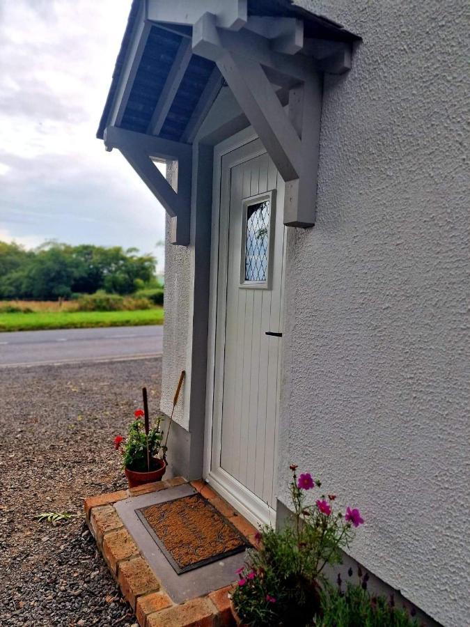 Beech Tree Cottage Glenwherry Kültér fotó
